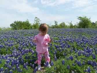 Cozy In Texas Wildflowers
