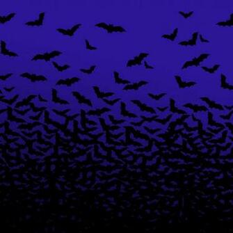 Halloween Wallpaper For iPad
