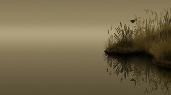 Sepia Lakes Wallpaper Butterflies Drawn