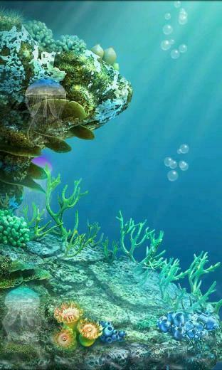 Descri O Jellyfish Live Wallpaper Swim Through The