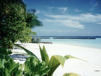 Tropical Beach Wallpaper Desktop Cool