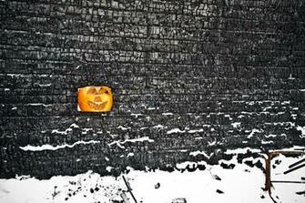 Photo Carved Pumpkin Calgary Canada Burned Gas Station
