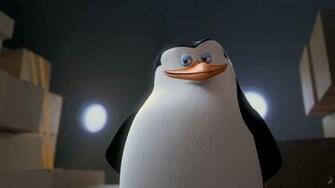 Skipper From The Penguins Of Madagascar Wallpaper