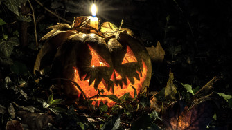 Photos Pumpkin Halloween Candles Holidays