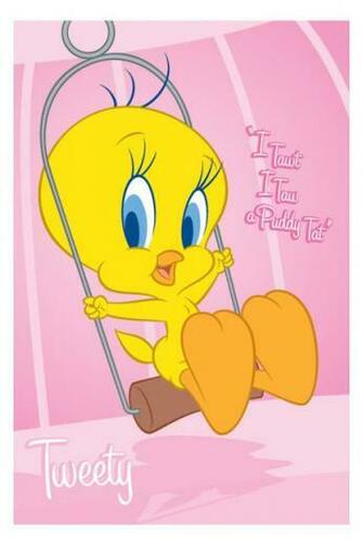 Cute Tweety Cartoon Characters Wallpaper