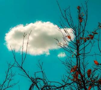 HD Wallpaper For Samsung Galaxy S