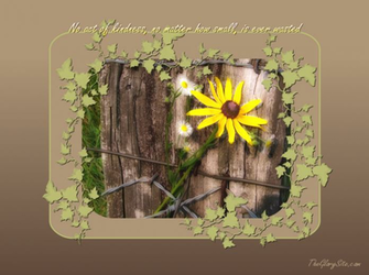 Verse Greetings Card Wallpaper Inspirational