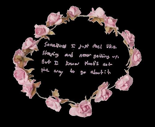 No Background On We Heart It Weheartit