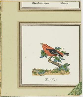 Sample Book Wallpaper And Fabric Adaptations From The Smithsonian