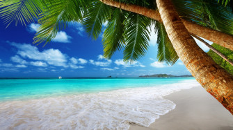 Tropics Sea Nature Tropical 4k Ultra HD Wallpaper