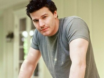 David Boreanaz Wallpaper