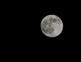 Shoot For The Moon
