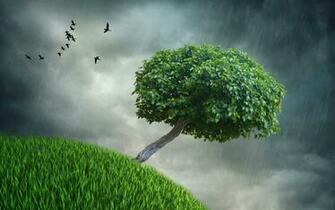 Spring Rain Wallpaper HD Resolution Natures