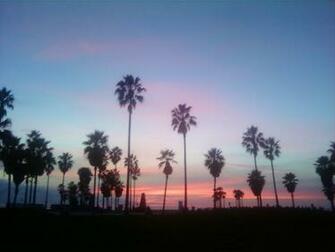 Venice Beach Sunset By Highimlobo