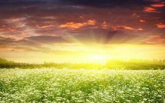 Dream Spring Sunrise Ii Wallpaper HD