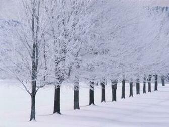 Winter Wallpaper HD