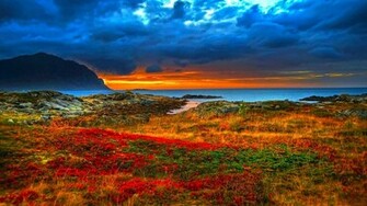 Scenic Computer Wallpaper Desktop Background Id