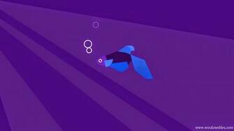 Nice Windows Beta Fish Wallpaper For Desktop