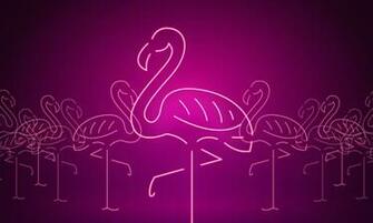 Lyft And San Diego Lgbt Community Center Begin Year Long