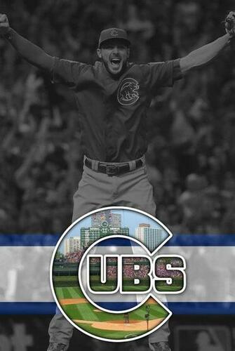 Looking For A Phone Background Of Your Favorite Team