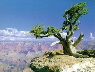 Most Popular Screen Savers Beautiful Desktop Nature