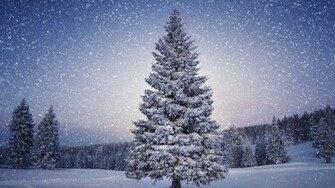 Snowfall Winter Mac Wallpaper