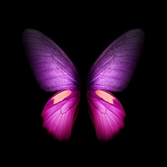 Samsung Galaxy Fold Wallpaper Top