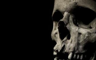 Dark Skull Wallpaper