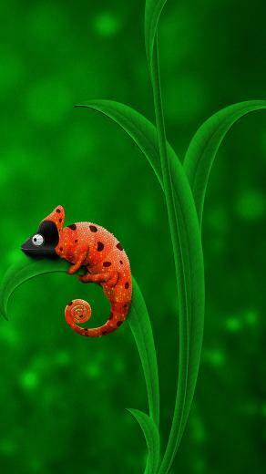 Beautiful Chameleon HD Samsung Galaxy S4 Wallpaper
