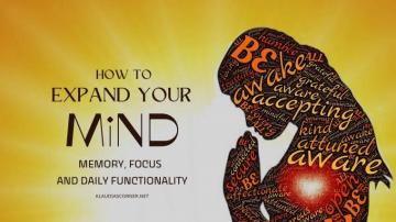 Expand Your Mind Memory Focus Daily Functionality