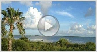 Visittybee Comtybee Island Ga L Savannah S