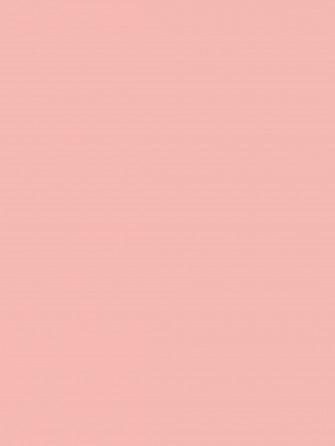 Puck Solid Baby Pink Digital Backdrop Backgroundjpg Wallpaper