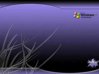 Windows Xp Pro Desktop Wallpaper Weddingdressin