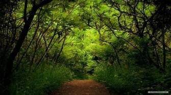 Landscape HD Wallpaper Nature Resolution