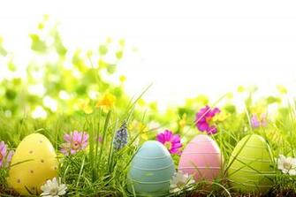Easter Spring Flowers Eggs Painted Grass Wallpaper Photos