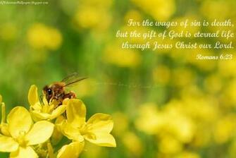 King James Kjb Versed Christian Wallpaper November
