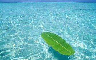 Crystal Clear Water HD Wallpaper