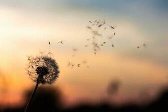 Mindfulness Pictures Image