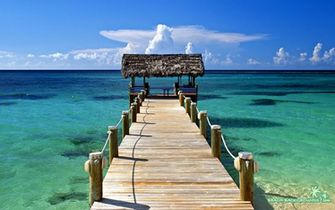 Sfondi HD Wallpaper Tropicale Pc Desktop