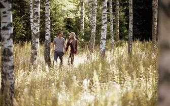 Wallpaper Love Boy Girl Forest Birch