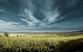 HD Wallpaper Widescreen Desktop Backgronds