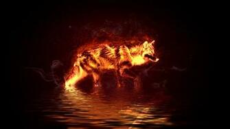 Fire Wolf By Hemamm