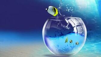 Aquarium Wallpaper Screensavers Background