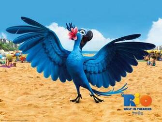 Jewel In Rio Wallpaper HD