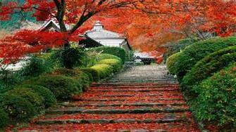 Japanese Landscape Wallpaper