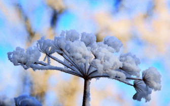 Winter Season Wallpaper