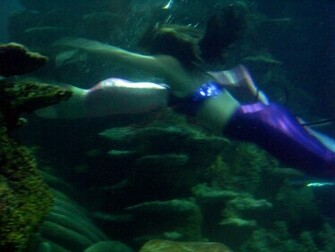 Mermaid Background Image Mermaids Wallpaper