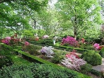 English Garden Wallpaper Background For Desktops
