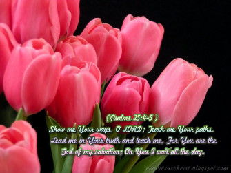 Christian Wallpaper Bible Verse Psalms