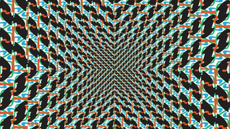 Patterns Image Mag